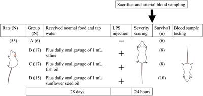 Evaluation of the Preventive Effects of Fish Oil and Sunflower Seed Oil on the Pathophysiology of Sepsis in Endotoxemic Rats